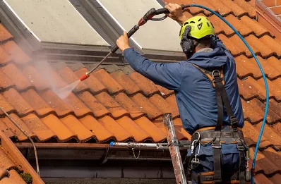 Démoussage et hydrofuge de toiture au Mesnillard